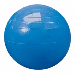 65cm Gymnic Egzersiz Topu