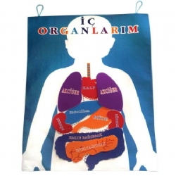 İç Organlar Kumaş Pano