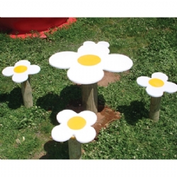 Papatya Piknik Takımı